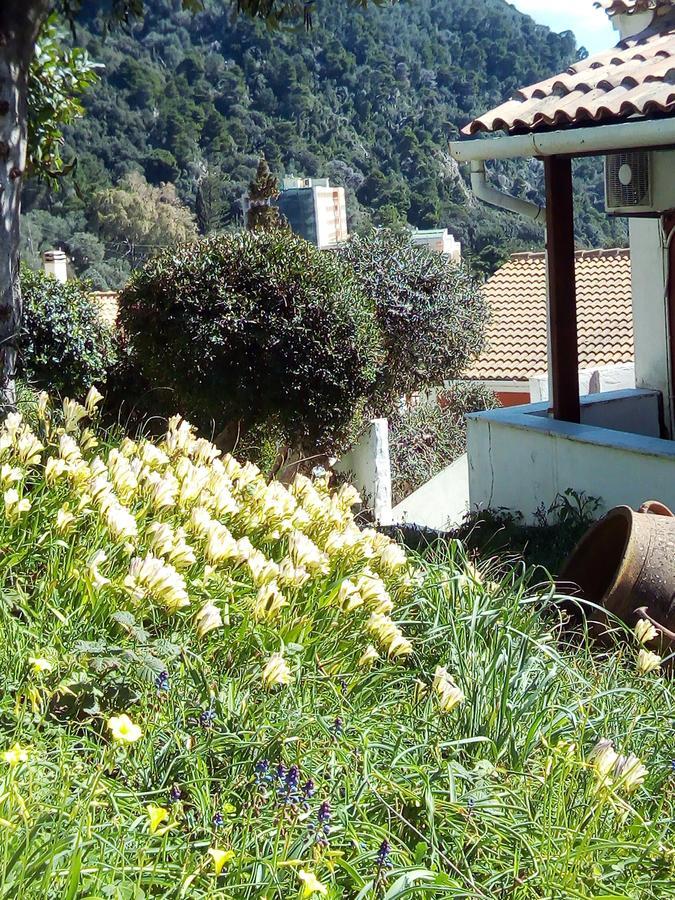 Adriatic View Villa Glifada Eksteriør billede